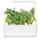Click & Grow Smart Garden refill Dwarf Pea 3pcs
