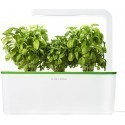 Click & Grow Smart Herb Garden, green