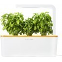 Click & Grow Smart Herb стартовый комплект, оранжевый