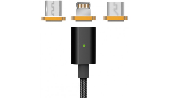 Platinet kabelis 3 vienā microUSB + Lightning + USB-C 1m magnētisks (PUCMP3)