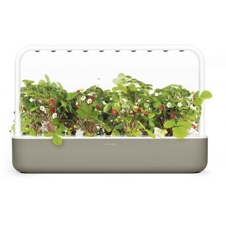 Click Grow Smart Garden 9 beige Smart gardens Photopoint