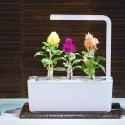 Click & Grow Smart Herb Garden refill Mätashari 3tk