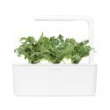 Click & Grow Smart Herb Garden refill Rucola (3-pack)