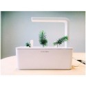 Click & Grow Smart Herb Garden refill Kuusk 3tk