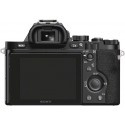 Sony a7 kere +Sony 64GB SDXC memory card