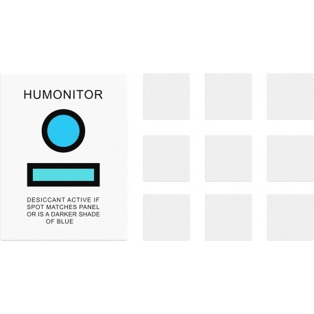 GoPro uduvastased padjad Anti-Fog Inserts (AHDAF-302)