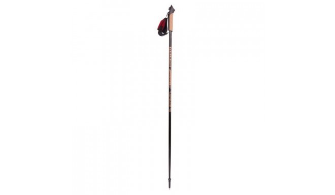 Walking poles Nordic Walking Viking Paras 125 cm 660/16/2121/09 2pcs