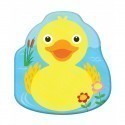 GW Foksal Bathing book, Duck Ewa