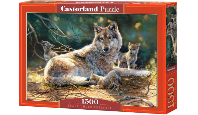Castorland puzzle Wolf Family 1500pcs
