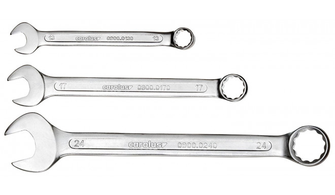 Carolus 0900.0010 ring-combination wrench set - 10-pieces - 1694669