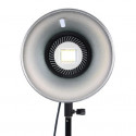 Falcon Eyes Bi-Color LED Lamp Dimmable LPS-1000TD on 230V