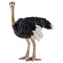 Schleich toy figure Ostrich