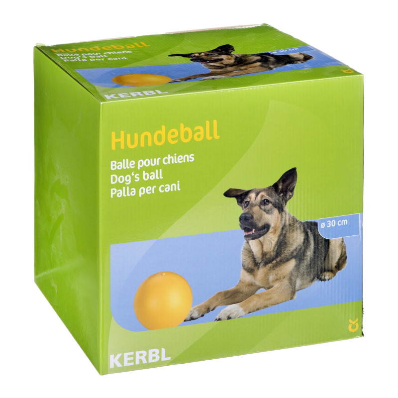 https://static3.nordic.pictures/21429723-thickbox_default/pilka-do-zabawy-kerbl-dog-playing-ball.jpg