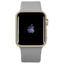 Apple Watch 1 38mm Gold Alu Case with Concrete Sport Band