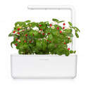 Click & Grow Smart Garden refill Wild Strawberry 3pcs