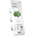Click & Grow Smart Garden refill Parsley 3pcs
