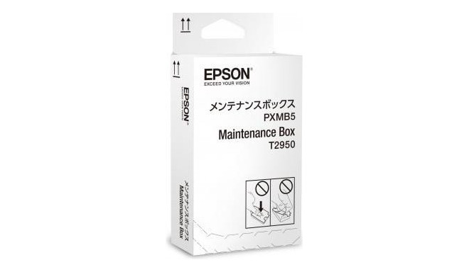 Epson maintenance C13T295000