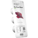 Click & Grow Smart Garden refill Red Leaf Beet 3pcs