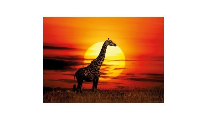 1000 EL. Żyrafa z zachodem słońca