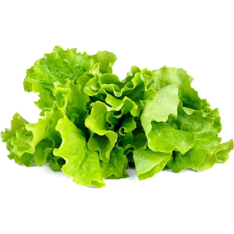Click & Grow Smart Garden refill Lehtsalat 3tk
