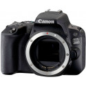 Canon EOS 200D + Tamron 17-35mm OSD