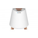 Blaupunkt juhtmevaba kõlar BT25LAMP