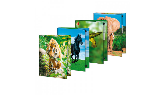 Mapp-kaaned Brunnen A4, loomamotiividega, assortii