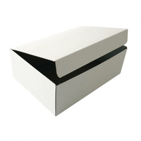 Arhiivikarp SMLT 255 x 120 x 355 mm kartong (2 tk)