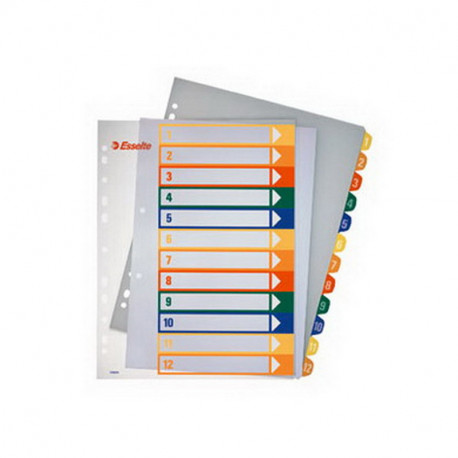 Vahelehed Esselte Project A4, maxi, plastik, läbip esileht, 1-5