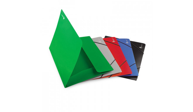 Kummiga mapp Forpus 1-100 lehte A4 plast punane (2 tk)