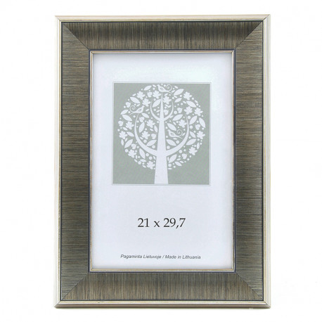 Pildiraam SAVEX 21x29,7cm plast, hõbe