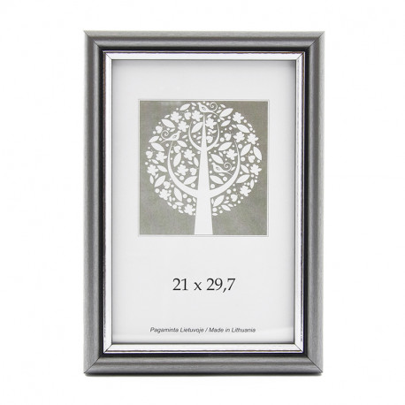 Pildiraam SAVEX 21x29,7cm plast, hõbe