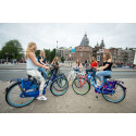 Linnajalgratas naistele SALUTONI Hurrachi 28 tolli 50 cm Shimano Nexus 3 käiku