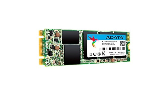 ADATA SU800NS38 1 TB - SSD - M.2 2280