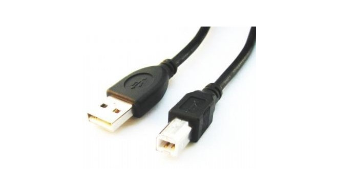 Product: USB 2.0 Cable
Type: AM to BM (Type A Male to Type B Male)
