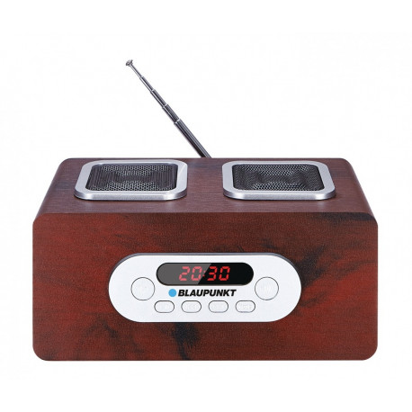 Portable radio PP5BR SD/USB