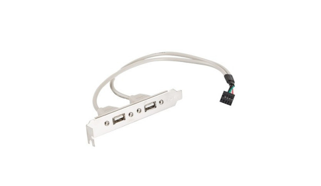 Bracket USB 2.0 X2 30cm