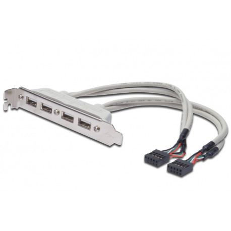Slot Bracket Cable USB 2.0 HighSpeed Type 2xIDC (5pin)/4xUSB A M/Ż grey 0,25m
