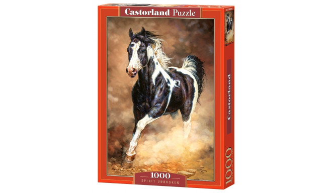 Castorland pusle Spirit Unbroken 1000tk