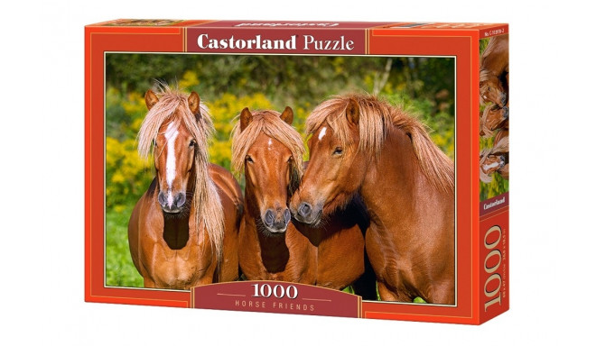 Castorland pusle Horse Friends 1000tk