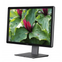 Dell monitor 23,8" IPS/PLS 4K UHD P2415Q 210-ADYV