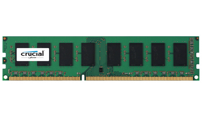 Crucial 8GB DDR3L 1600 MT/s CL11 PC3-12800 UDIMM 240pin