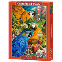 Castorland puzzle Amazon 1000pcs