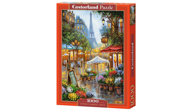 Castorland puzzle Paris 1000pcs