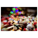 Lensbaby Composer Pro II incl. Sweet 35 Optic Canon EF