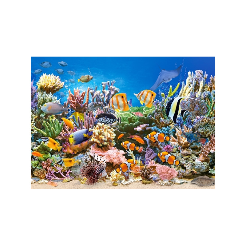 Neu Colours Of The Ocean,Puzzle 260 Teile Castorland B-27279-1 