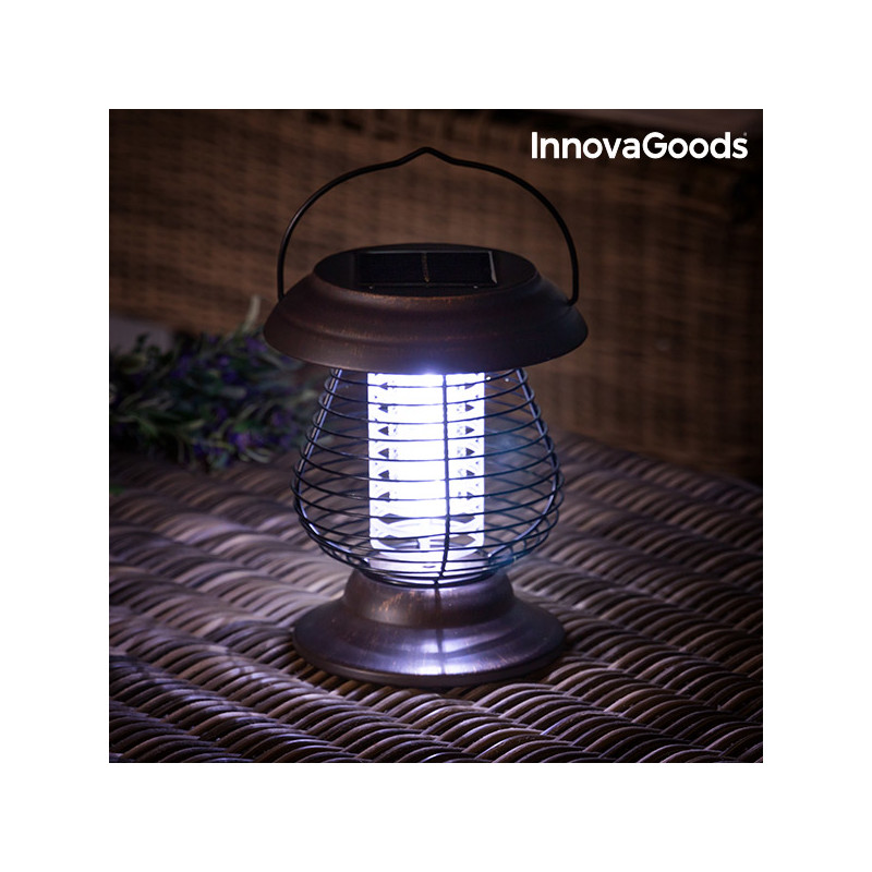 solar bug lantern