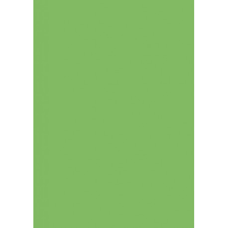 Käsitöökartong 50x70cm 300g roheline, Heyda