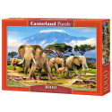 Castorland puzzle Elephants in Kilimanjaro 1000pcs