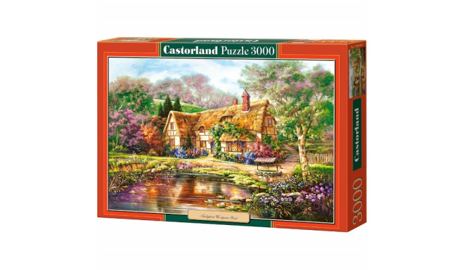 Castorland puzzle Twilight at Woodgreen Pond 3000pcs